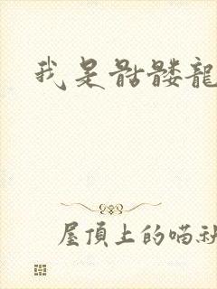 我是骷髅龙骑兵