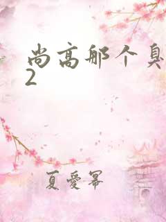 尚高那个臭小子2