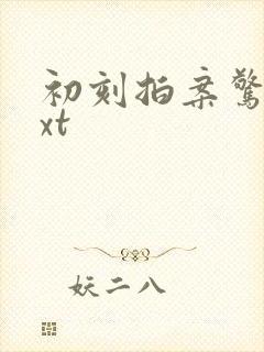 初刻拍案惊奇txt