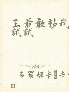 王爷敢动我妈咪试试