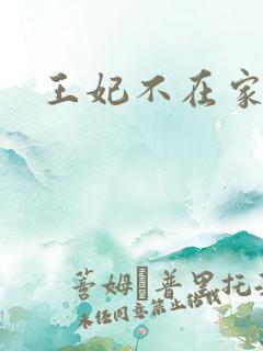 王妃不在家