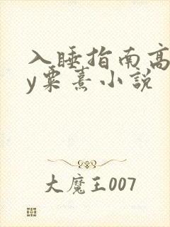 入睡指南高干by粟熹小说