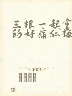 三根一起会坏掉的好痛红梅