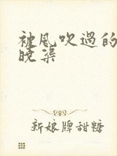 被风吹过的夏天晓渠