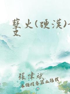 孽火(硬汉)今又