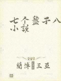 七个盘子八个碗小说