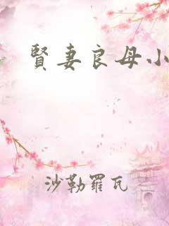 贤妻良母小说