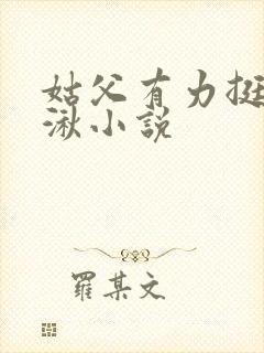 姑父有力挺送徐湫小说