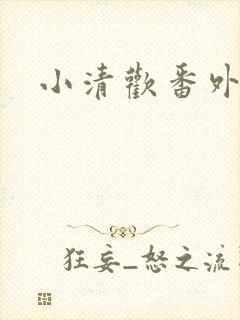 小清欢番外