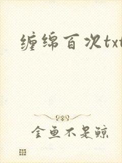 缠绵百次txt