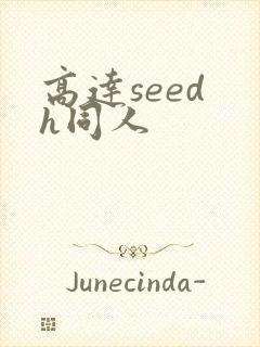 高达seed h同人