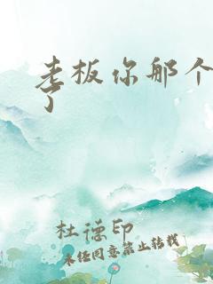 老板你那个太长了