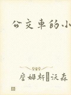 公交车的小说