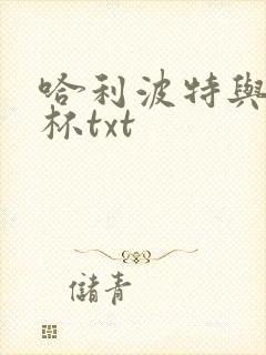 哈利波特与火焰杯txt