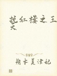 挽红楼之玉舞九天