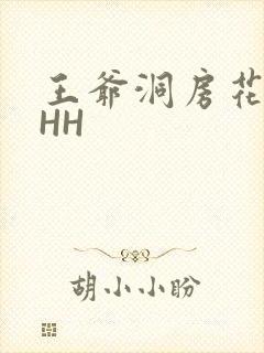 王爷洞房花烛夜HH