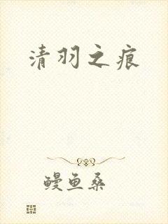 清羽之痕