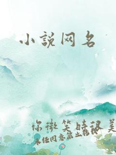 小说网名