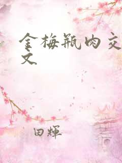 金梅瓶肉交白话文