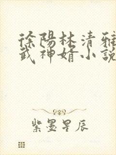 徐阳林清雅绝世武神婿小说