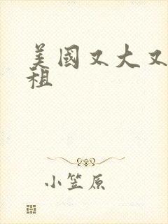 美国又大又长又租