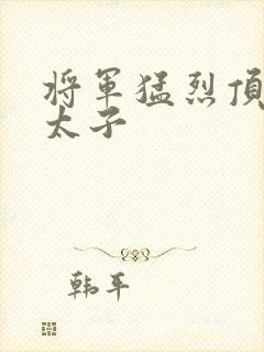 将军猛烈顶弄h太子