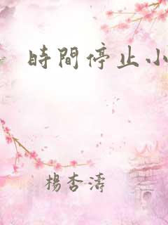时间停止小说