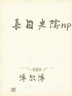 长日光阴np