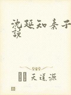 沈延知秦子卿小说