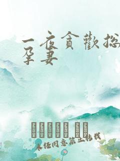 一夜贪欢总裁幸孕妻