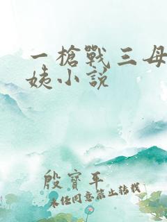 一枪战三母2雪姨小说