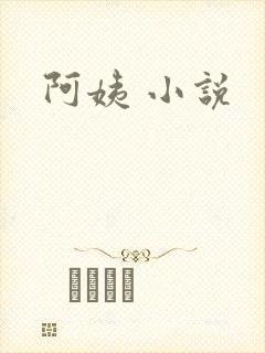 阿姨 小说