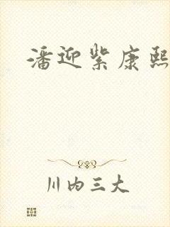 潘迎紫康熙来了