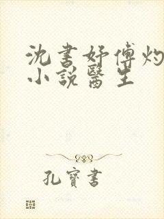 沈书妤傅灼抖音小说医生