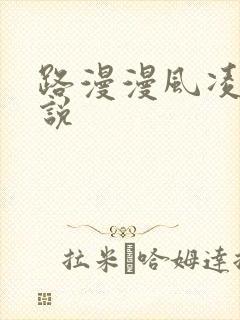 路漫漫风凌轩小说