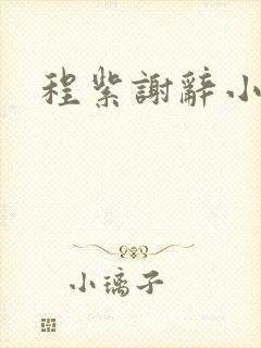 程紫谢辞小说