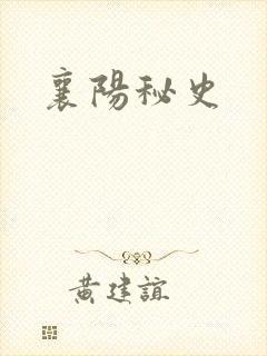 襄阳秘史