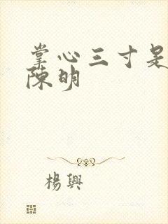 掌心三寸是人间陈明