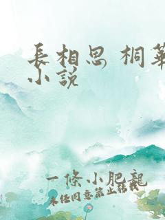 长相思 桐华 小说