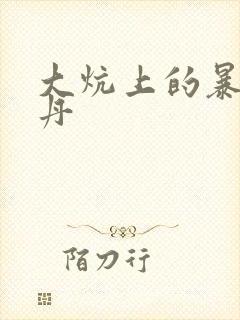 大炕上的暴伦小丹