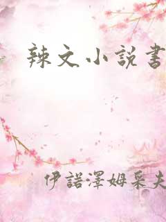 辣文小说书包网