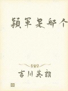 颖军是哪个军阀