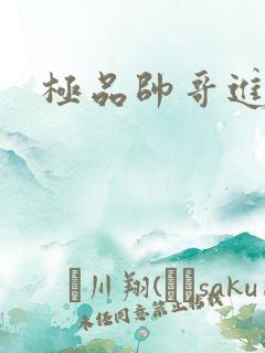 极品帅哥进化史