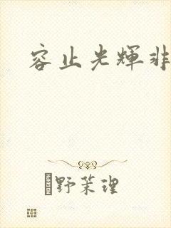 容止光辉非世人