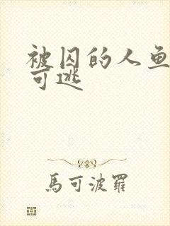 被囚的人鱼无处可逃