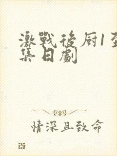 激战后厨1至5集日剧