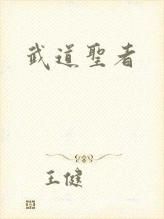 武道圣者