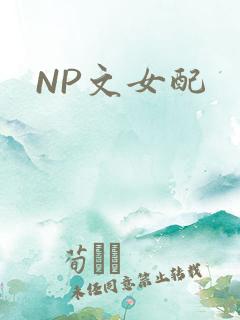 NP文女配