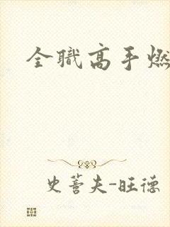全职高手燃文