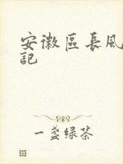 安徽区长风流日记